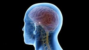 راه‌اندازی کلینیک بیماری‌های هیپوفیز در درمانگاه فوق تخصصی بیمارستان امام رضای تبریز