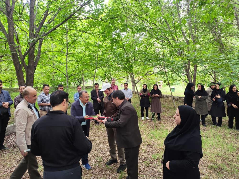 شرکت دسته جمعی کارکنان مرکز امام رضا(ع) در برنامه پیاده‌روی صبحگاهی