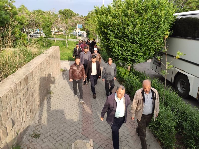 پیاده روی صبحگاهی