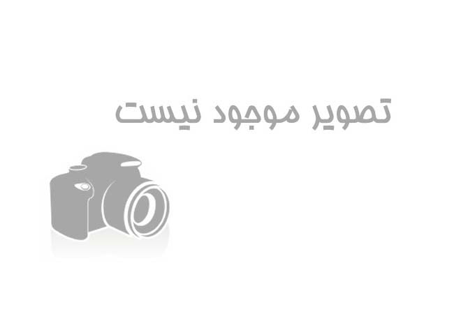 بسیج