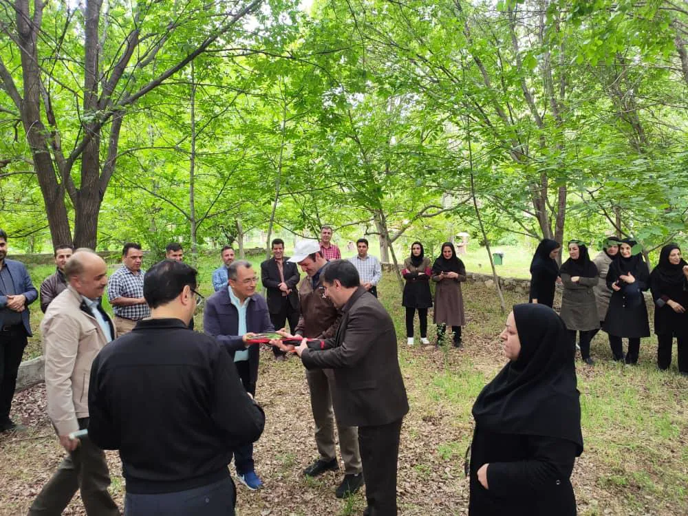 شرکت دسته جمعی کارکنان مرکز امام رضا(ع) در برنامه پیاده‌روی صبحگاهی